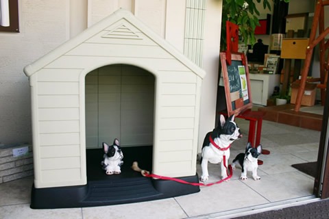 ケター　樹脂製犬小屋　兵庫店にて展示！